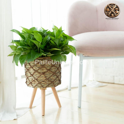 Cache Pot Sur Pied Design