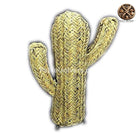 Cactus De Deco