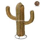 Cactus Deco Naturelle