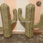 Cactus Décoration Osier