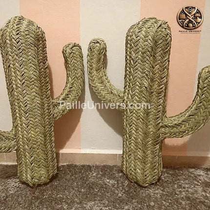 Cactus Décoration Osier