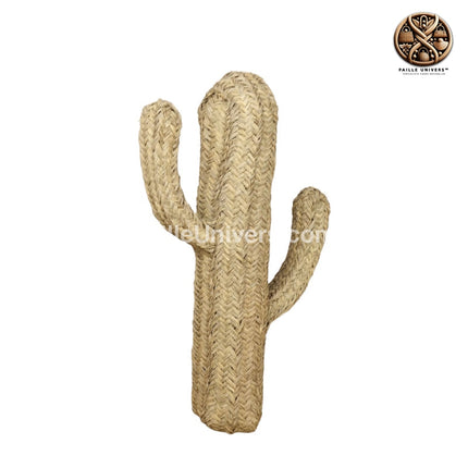 Cactus Osier 1M