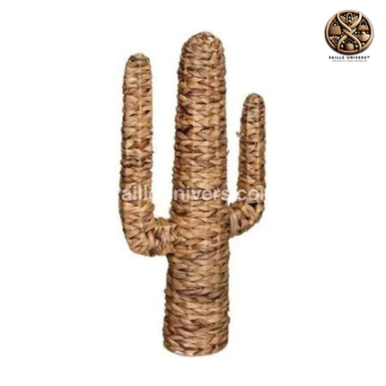 Cactus Osier 75 Cm