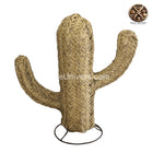 Deco Chambre Cactus