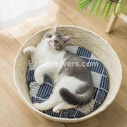 Grand Panier Osier Chat En