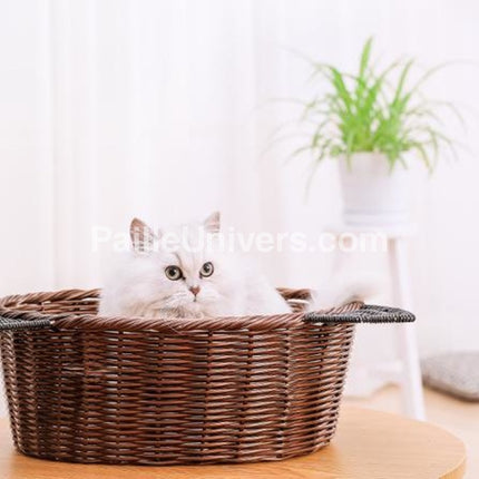 Panier Osier Chat Grande Taille En